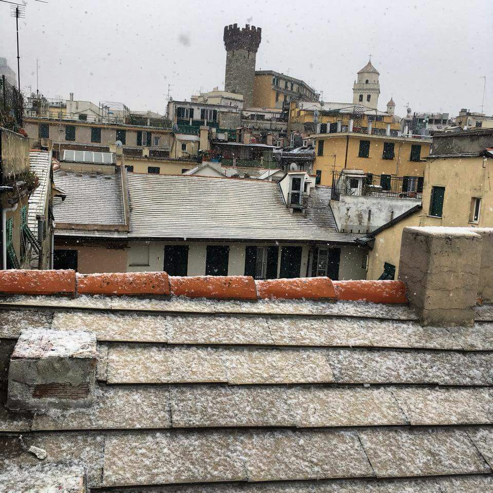 Neve sulla Liguria: a Genova scatta l'allerta gialla Neve sulla Liguria: a Genova scatta l'allerta gialla