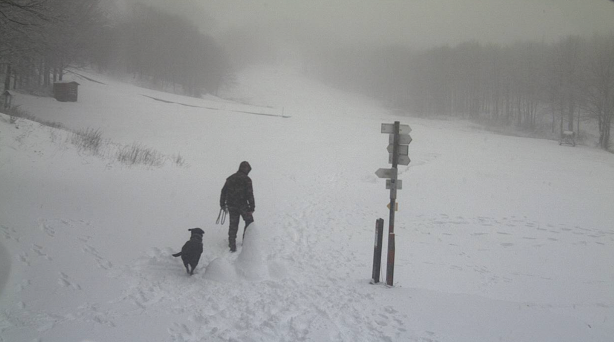 La prima neve del 2024, rispunta anche il pupazzo…del belino – Lavocedigenova.it La prima neve del 2024, rispunta anche il pupazzo…del belino – Lavocedigenova.it