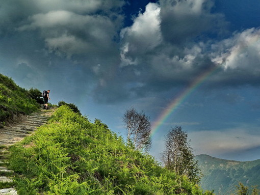 Cinque modi per cominciare ad “entrare” in Val Grande Cinque modi per cominciare ad “entrare” in Val Grande