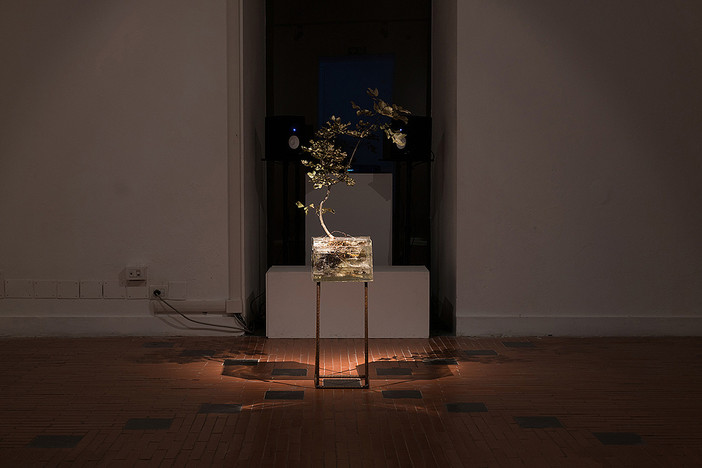 A un allievo dell'Accademia di Belle Arti di Genova il Premio Scultura del PNA 2019 A un allievo dell'Accademia di Belle Arti di Genova il Premio Scultura del PNA 2019