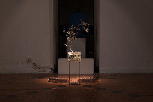 A un allievo dell'Accademia di Belle Arti di Genova il Premio Scultura del PNA 2019 A un allievo dell'Accademia di Belle Arti di Genova il Premio Scultura del PNA 2019