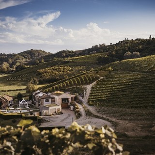 Vinicola Arno: passione, eco-sostenibilità e ospitalità di charme nel cuore del Monferrato