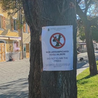 Il cartello comparso su alcuni alberi del Comune di Sestri Levante