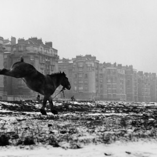 A Palazzo Ducale la mostra dedicata alla fotografa Sabine Weiss A Palazzo Ducale la mostra dedicata alla fotografa Sabine Weiss