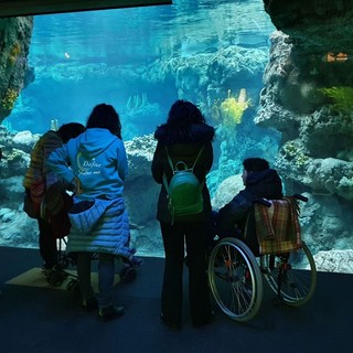 “Oggi vado all’Acquario”, torna l'iniziativa per offrire ai bambini in cura al Gaslini visite gratuite all'Acquario di Genova