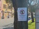 Il cartello comparso su alcuni alberi del Comune di Sestri Levante