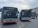 Aggressione sull’autobus, autista Amt preso a pugni sulla linea 1
