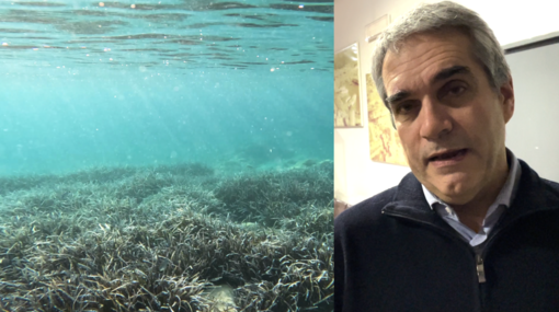 Il progetto della diga sott’acqua alla Marinella di Nervi, l’esperto è scettico: “C’è un habitat protetto da salvaguardare”