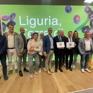 Le olive taggiasche ottengono la certificazione IGP da parte dell'Unione Europea