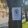 Il cartello comparso su alcuni alberi del Comune di Sestri Levante