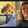 Nuove aperture: in via San Luca arriva “Save the bees”, il negozio/progetto per la salvaguardia dell'ambiente e delle api (Video)