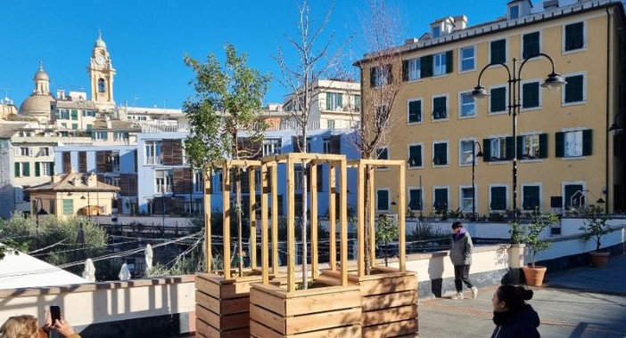 Giardini Luzzati sempre più verdi, inaugurati otto nuovi alberi Giardini Luzzati sempre più verdi, inaugurati otto nuovi alberi