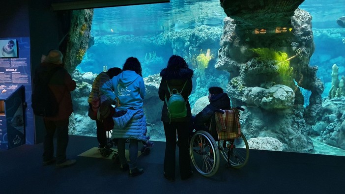 “Oggi vado all’Acquario”, torna l'iniziativa per offrire ai bambini in cura al Gaslini visite gratuite all'Acquario di Genova “Oggi vado all’Acquario”, torna l'iniziativa per offrire ai bambini in cura al Gaslini visite gratuite all'Acquario di Genova