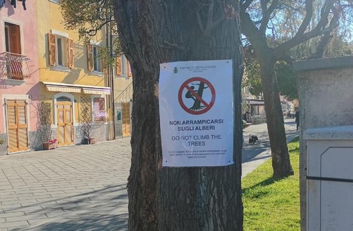 Il cartello comparso su alcuni alberi del Comune di Sestri Levante