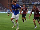 Serie B, respinto il ricorso della Salernitana: domenica sera all'Arechi la sfida di ritorno dei playout con la Samp
