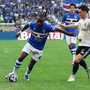 Sampdoria, missione sgambetto al Palermo nel "Monday Night" di Serie B: blucerchiati di scena al "Barbera" alle 20.30 Sampdoria, missione sgambetto al Palermo nel "Monday Night" di Serie B: blucerchiati di scena al "Barbera" alle 20.30
