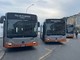 Aggressione sull’autobus, autista Amt preso a pugni sulla linea 1