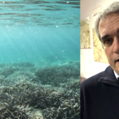 Il progetto della diga sott’acqua alla Marinella di Nervi, l’esperto è scettico: “C’è un habitat protetto da salvaguardare”