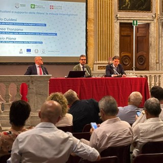 Industria energetica, primo bando interregionale da 3 milioni per il Nord-Ovest