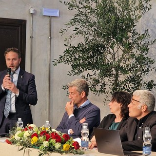Olive taggiasche, Piana: “Ok nella pubblica audizione per il riconoscimento della certificazione IGP”