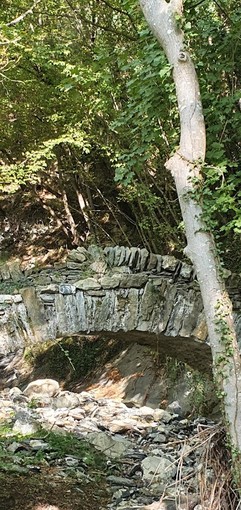 Pieve di Teco, domenica escursione sui sentieri dei Clavesana: appuntamento da non perdere (FOTO) Pieve di Teco, domenica escursione sui sentieri dei Clavesana: appuntamento da non perdere (FOTO)