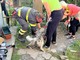 Salvato cane intrappolato in un cunicolo a Molassana (Foto e Video)
