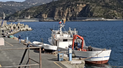 Pesca, dalla Regione fondi per modernizzare la flotta peschereccia e sostenere i pescatori Pesca, dalla Regione fondi per modernizzare la flotta peschereccia e sostenere i pescatori
