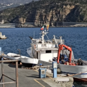 Pesca e acquacoltura, dalla Regione 500mila euro per le imprese liguri: aperti due nuovi bandi Feampa