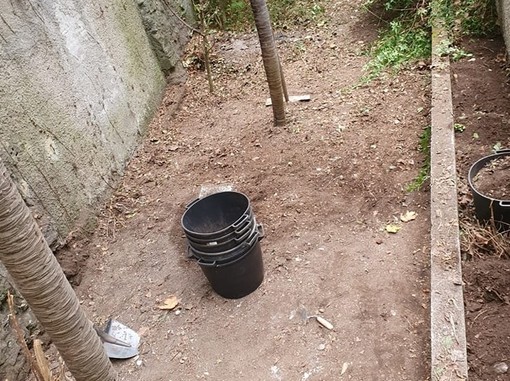 Cornigliano, approvata la realizzazione di un orto didattico presso la terrazza della scuola ‘Ferrero’