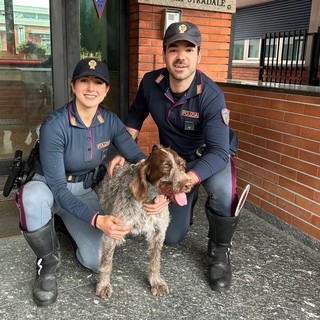 Cane scappa in autostrada, la corsa e il recupero della polizia stradale. Ora è ritornato tra le braccia del suo padrone