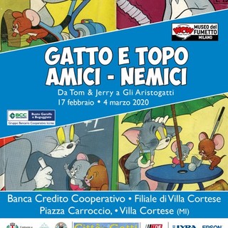 Villa Cortese celebra la giornata nazionale del gatto con una mostra in Bcc