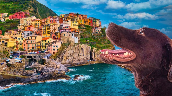 Le Cinque Terre entrano nei grandi cammini italiani Covid Free da fare con il cane di TripForDog Le Cinque Terre entrano nei grandi cammini italiani Covid Free da fare con il cane di TripForDog