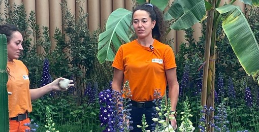 Euroflora, da oggi attiva la 'task force' di A.S.Ter: dieci giardinieri specializzati si occuperanno della manutenzione quotidiana