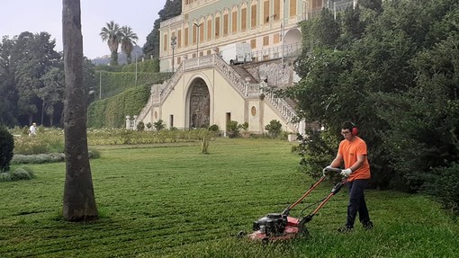 Villa Duchessa di Galliera: ecco le magnifiche Stelle Floreali