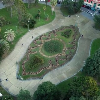 Pegli, spariscono alcune piante dall’aiuola di piazza Bonavino appena restaurata