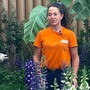 Euroflora, da oggi attiva la 'task force' di A.S.Ter: dieci giardinieri specializzati si occuperanno della manutenzione quotidiana