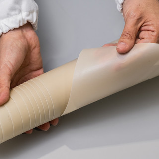 IIT: una nuova startup mette sul mercato un'alternativa alla plastica