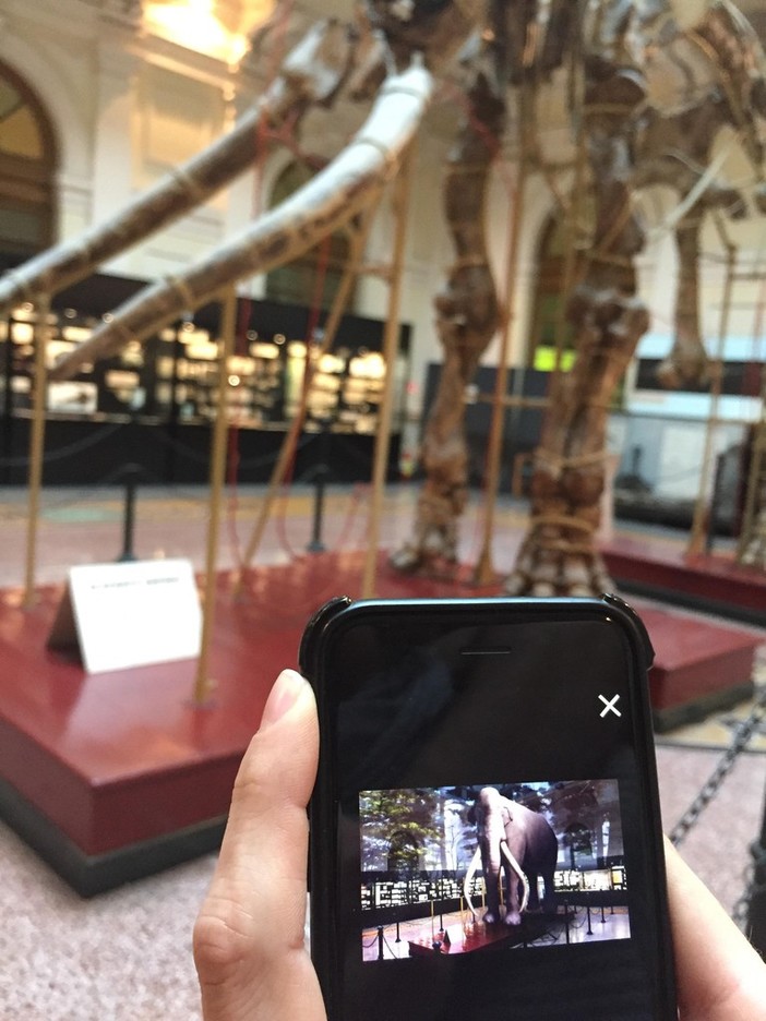 "Museo segreto", l'app per scoprire il Museo di Storia Naturale Doria