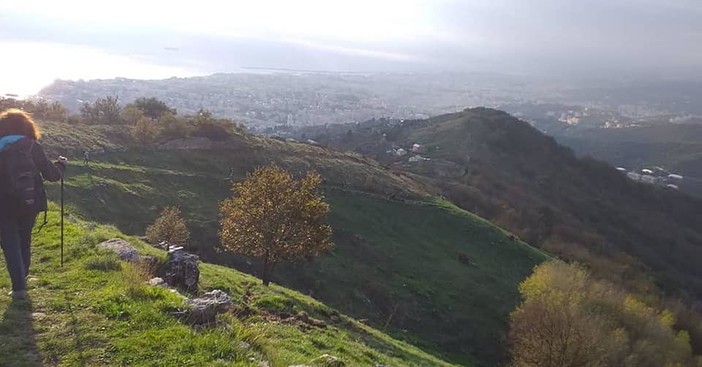 La Pro Loco di Apparizione aderisce alla campagna di Aism con le gardenie solidali