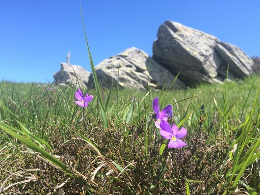Titanio sul Beigua: domani la diretta streaming sui ricorsi presentati contro l'attività mineraria