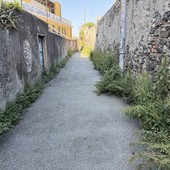 La via Antica Romana tra Multedo e Pegli invasa dall'erba infestante La via Antica Romana tra Multedo e Pegli invasa dall'erba infestante