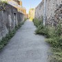 La via Antica Romana tra Multedo e Pegli invasa dall'erba infestante La via Antica Romana tra Multedo e Pegli invasa dall'erba infestante
