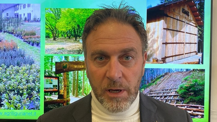 Schiusa delle uova di tartaruga a Laigueglia, il presidente Piana: "Evento unico, conferma dell'impegno della Regione nella tutela ambientale" Schiusa delle uova di tartaruga a Laigueglia, il presidente Piana: "Evento unico, conferma dell'impegno della Regione nella tutela ambientale"