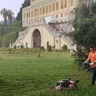 Villa Duchessa di Galliera: ecco le magnifiche Stelle Floreali