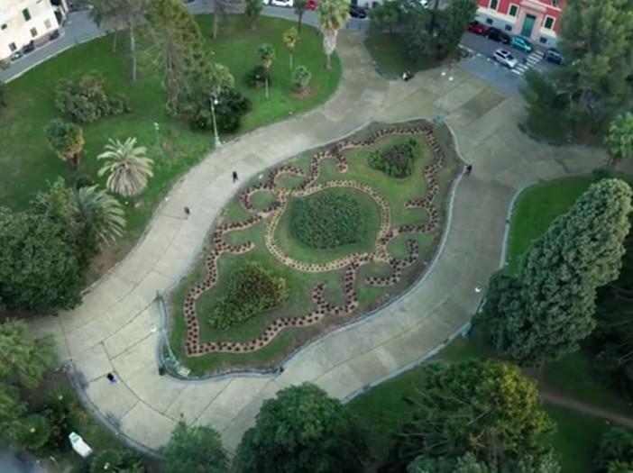 Pegli, spariscono alcune piante dall’aiuola di piazza Bonavino appena restaurata Pegli, spariscono alcune piante dall’aiuola di piazza Bonavino appena restaurata