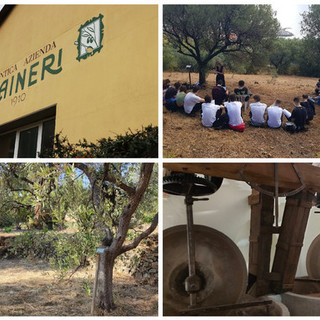 Al via a Imperia i corsi dell’Istituto tecnico superiore a indirizzo agroalimentare, Giacomo Rinaldi (Raineri): "Opportunità importante per il territorio" Al via a Imperia i corsi dell’Istituto tecnico superiore a indirizzo agroalimentare, Giacomo Rinaldi (Raineri): "Opportunità importante per il territorio"