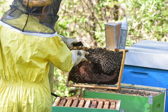 Concorso Mieli dei Parchi di Liguria 2019: nel Parco del Beigua la giornata finale