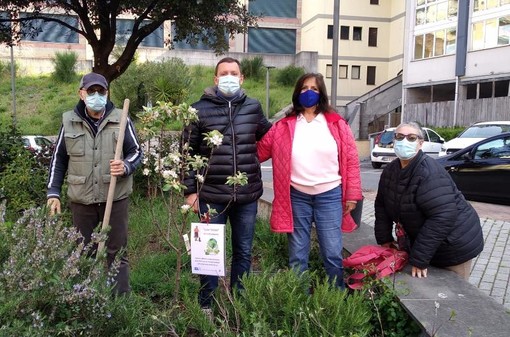 Nel Municipio Media Valbisagno piantati venti alberi da frutto per la Giornata mondiale della Terra