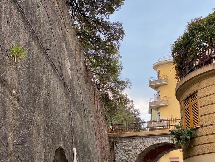 Pegli, gli alberi di Villa Pallavicini saranno potati dal Comune entro fine aprile (FOTO)