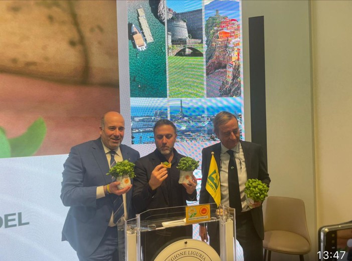 Progetto 'Old Basil', recuperate otto selezioni storiche autoctone del basilico genovese